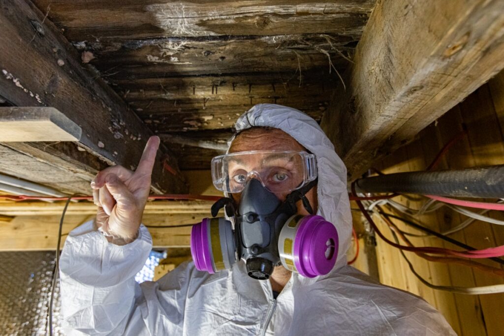 5 Signs of a Hidden Mold Problem in Your Maine Home | Eastern Basements