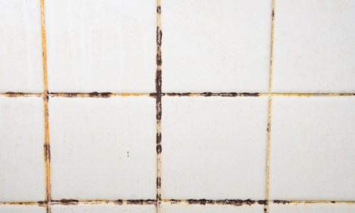 A Musty Earthy Smell That Wont Go Away | Eastern Basements