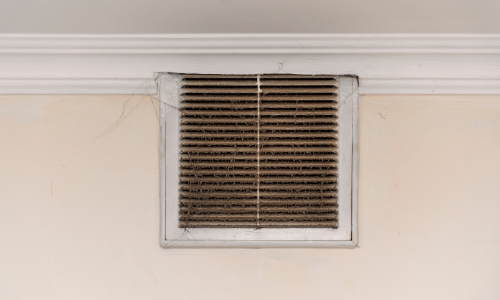 Allergy Symptoms | Eastern Basements