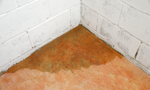 Common signs of leaking in basements | Eastern Basements