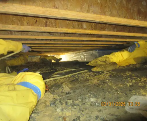 Crawl space repair before